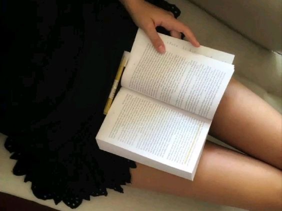 The Reader